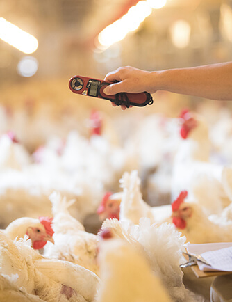 恒峰g22·(中国区)官网入口-天天有惊喜