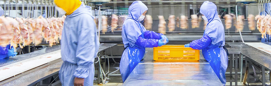 恒峰g22·(中国区)官网入口-天天有惊喜