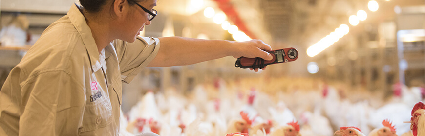 恒峰g22·(中国区)官网入口-天天有惊喜