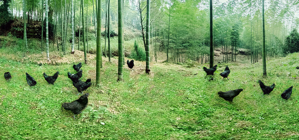 恒峰g22·(中国区)官网入口-天天有惊喜