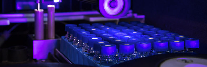 恒峰g22·(中国区)官网入口-天天有惊喜