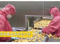 恒峰g22·(中国区)官网入口-天天有惊喜