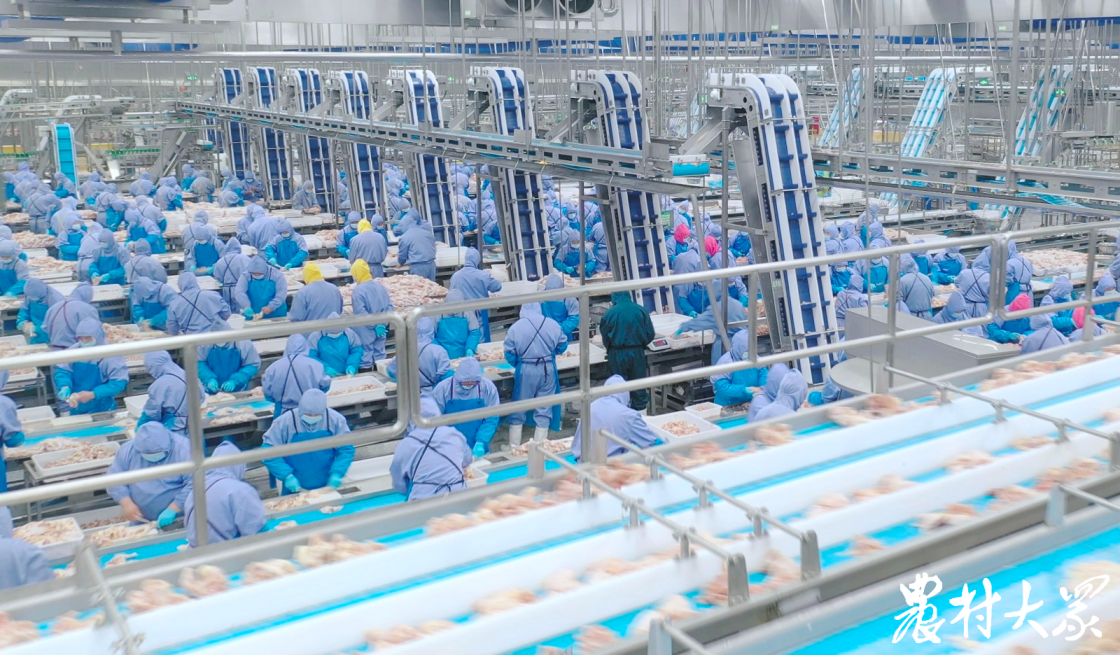 恒峰g22·(中国区)官网入口-天天有惊喜