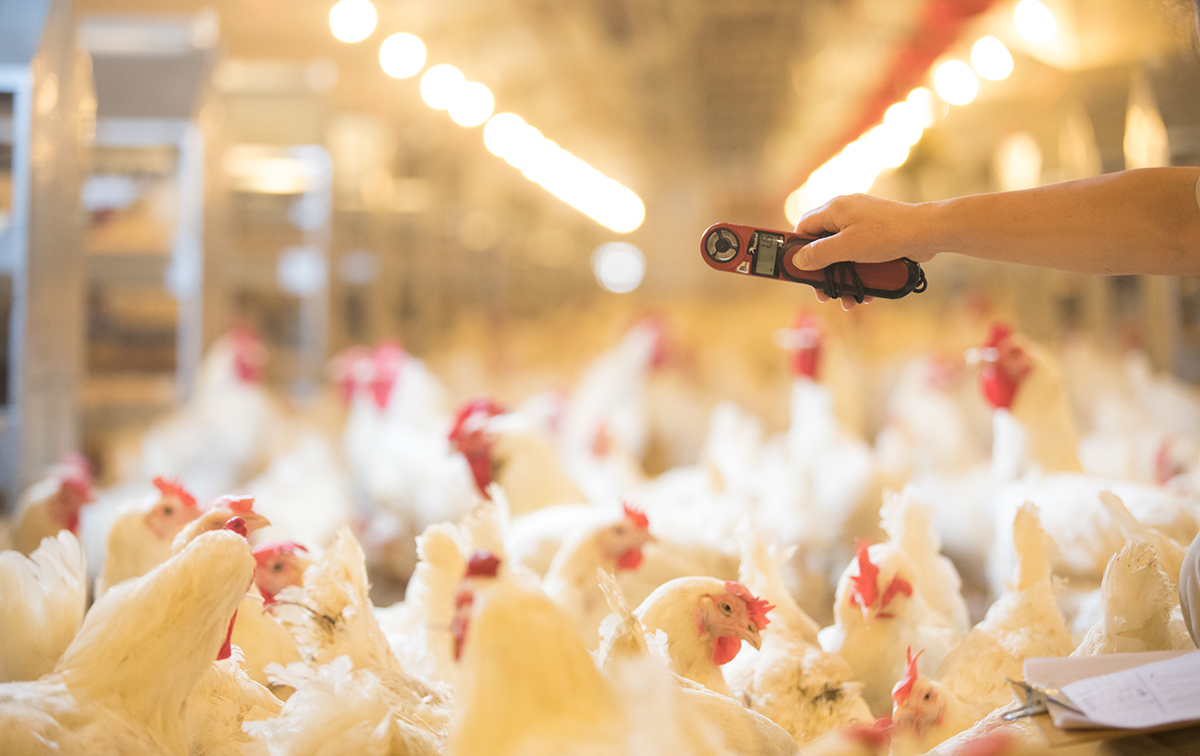 恒峰g22·(中国区)官网入口-天天有惊喜