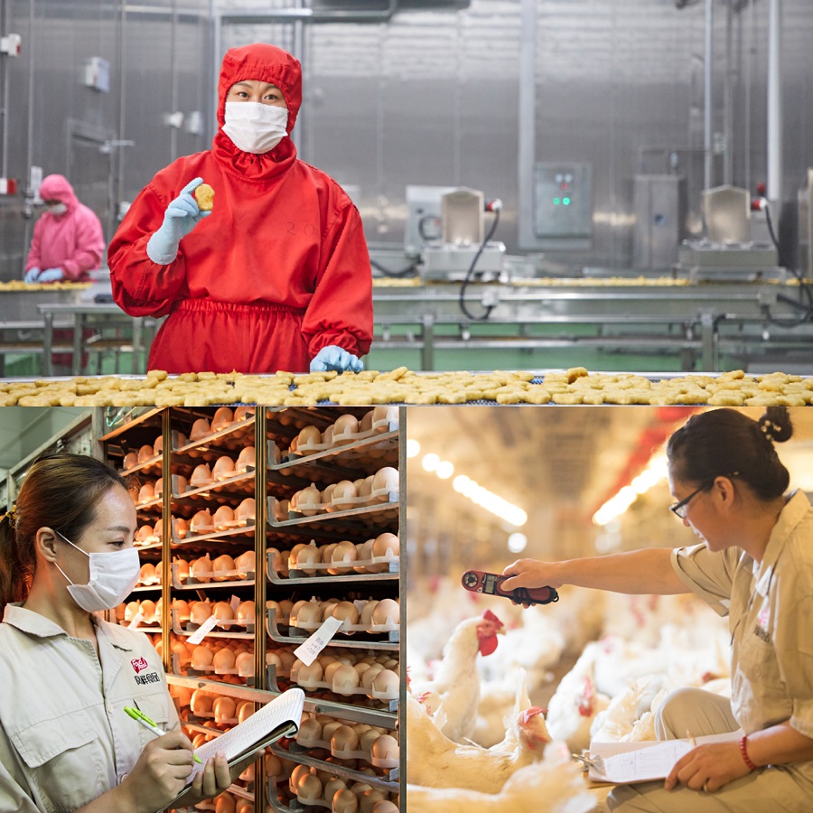 恒峰g22·(中国区)官网入口-天天有惊喜