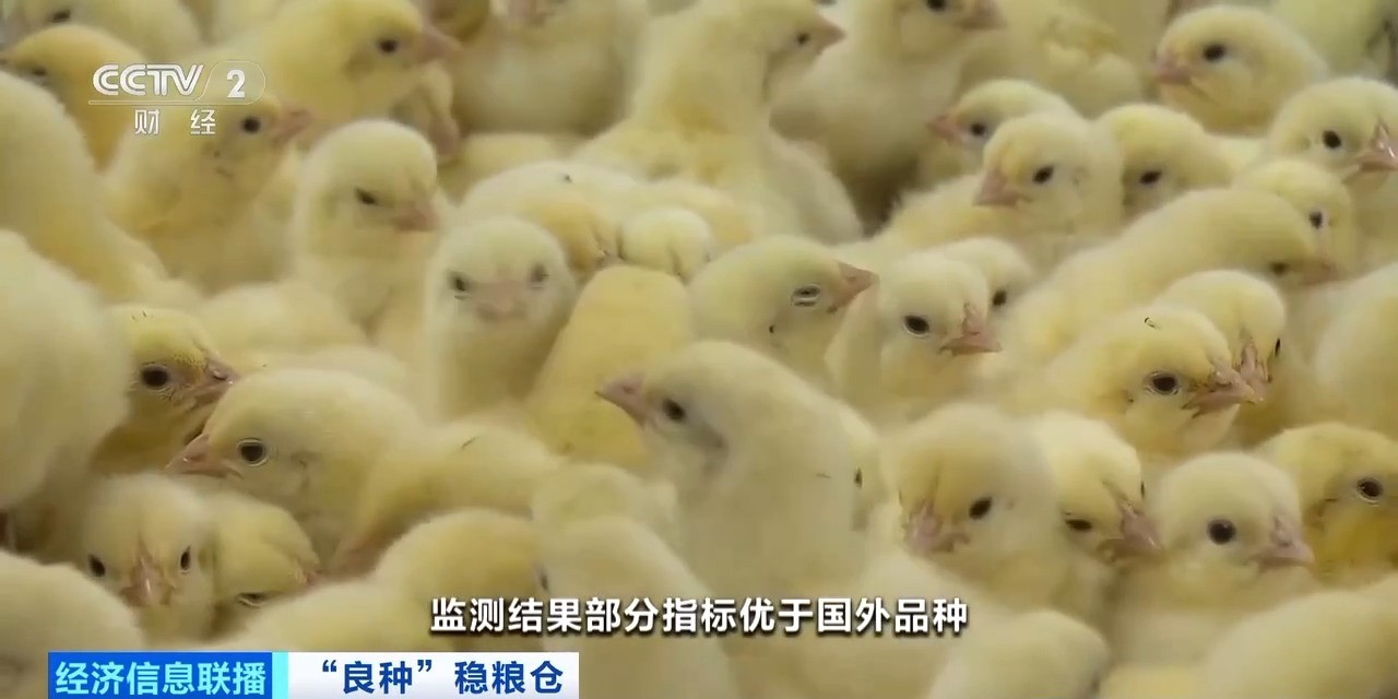 20260408094152_46030 恒峰g22·(中国区)官网入口-天天有惊喜