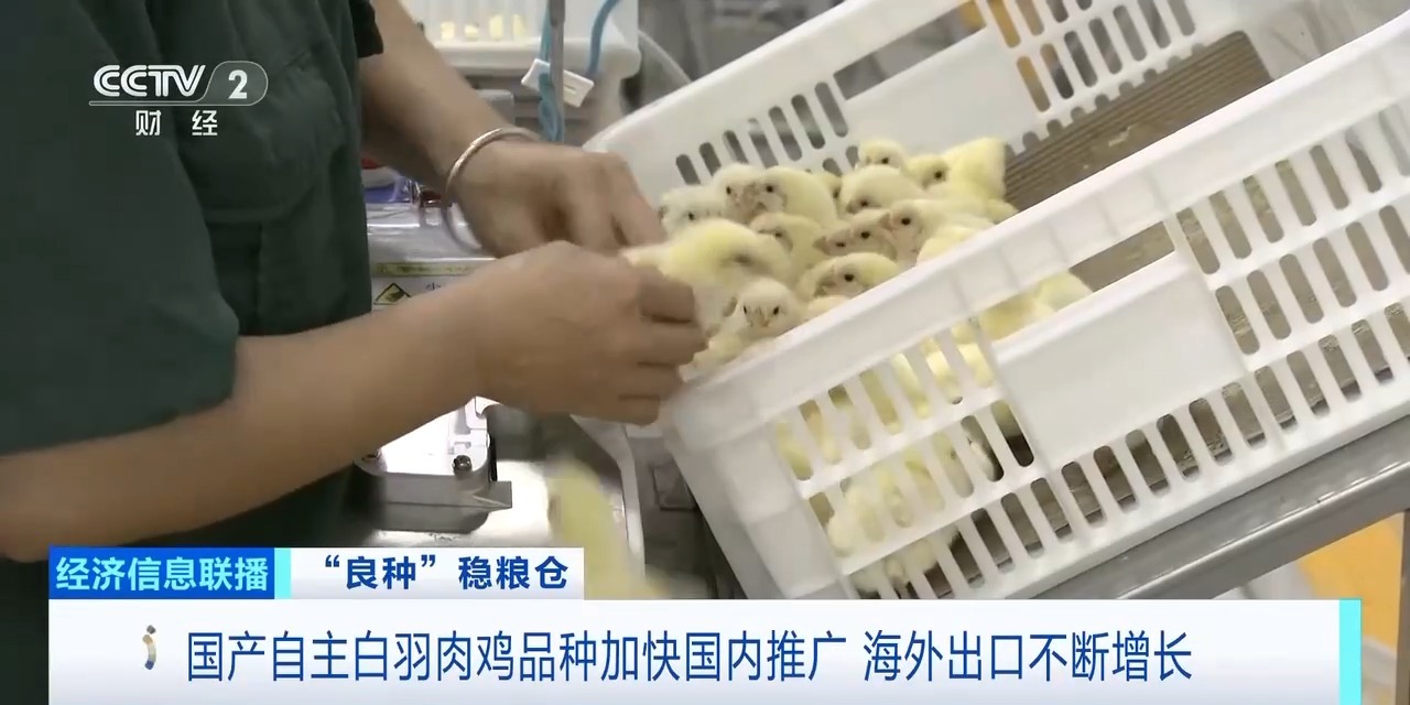 20260408094220_95222 恒峰g22·(中国区)官网入口-天天有惊喜